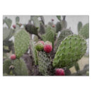 Buscar pera tablas cortar Fruta