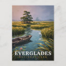 Buscar humedales postales Parque nacional everglades