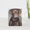 Buscar para todas las ocasiones tarjetas Fotos