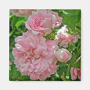 Buscar boda tarjetas de agradecimiento Rosa