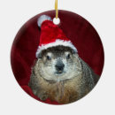 Buscar rata linda adornos Navidad