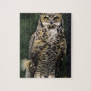 Buscar búho grande puzzles Bubo virginianus