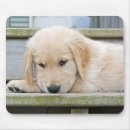 Buscar perro triste alfombrillas de raton Adorable