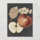 Buscar fruta verticales postales Alimento
