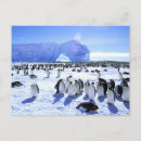 Buscar atka Península antártica