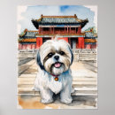 Buscar shih tzu arte Canina