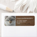 Buscar perro tarjetas e invitaciones Familia
