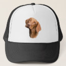 Buscar descubierto Perro