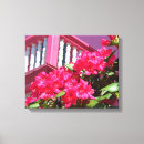 Buscar balcón lienzos Para todos