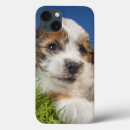 Buscar perrito ipad fundas Animal