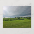 Buscar lexington kentucky postales Caballo