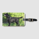 Buscar ardilla negra accesorios Adorable