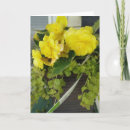 Buscar begonia tarjetas Amarillo