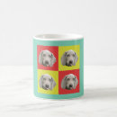 Buscar torpe clasicas tazas Tonto