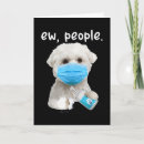 Buscar perro maltés tarjetas Perros