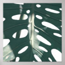 Buscar queso suizo posters Verde