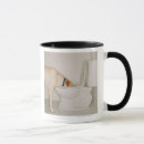 Buscar formas de vida tazas Humor