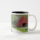 Buscar cultivo tazas Rural