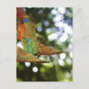 Buscar origami postales General y unisex