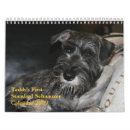 Buscar schnauzer calendarios Estándar