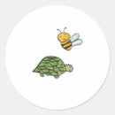 Buscar tortugas lindas pegatinas General y unisex
