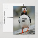 Buscar superventas postales General y unisex