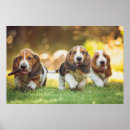Buscar funcionamiento fotografía Al aire libre