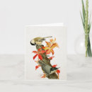 Buscar aves de corral tarjetas Vintage