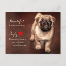 Buscar pug postales Perros de cachorro