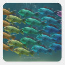 Buscar lubina pegatinas Animal