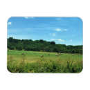 Buscar heno imanes Rural