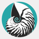 Buscar nautilus pegatinas 7 º concha