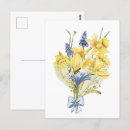 Buscar lirio de pascua postales General y unisex