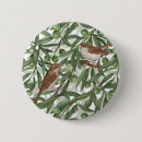 Buscar aceituna chapas Oliva