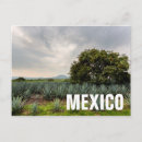 Buscar guanajuato postales Paisaje
