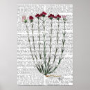 Buscar clavel posters Animales