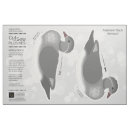 Buscar aves acuáticas telas Naturaleza