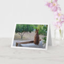 Buscar pinscher miniatura tarjetas Inscher en miniatura