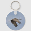 Buscar grúa del sandhill accesorios Vida silvestre