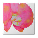 Buscar orquídea azulejos Elegante