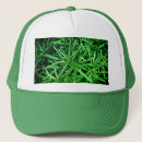 Buscar verdes gorras Jardín