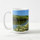 Buscar agua salada tazas Verano