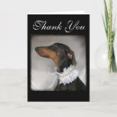 Buscar del perfil del tarjetas Elegante