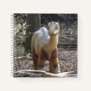 Buscar dinosaurios cuadernos General y unisex