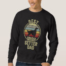 Buscar setter irlandés sudaderas 6 º mamarrera
