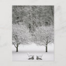 Buscar mundo natural postales Paisaje