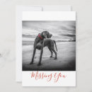 Buscar beach tarjetas Perro
