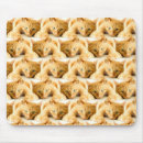 Buscar cat alfombrillas de raton Gatito