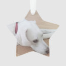 Buscar estrellas collares General y unisex