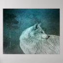Buscar bosque oscuro posters Fotografía de naturaleza